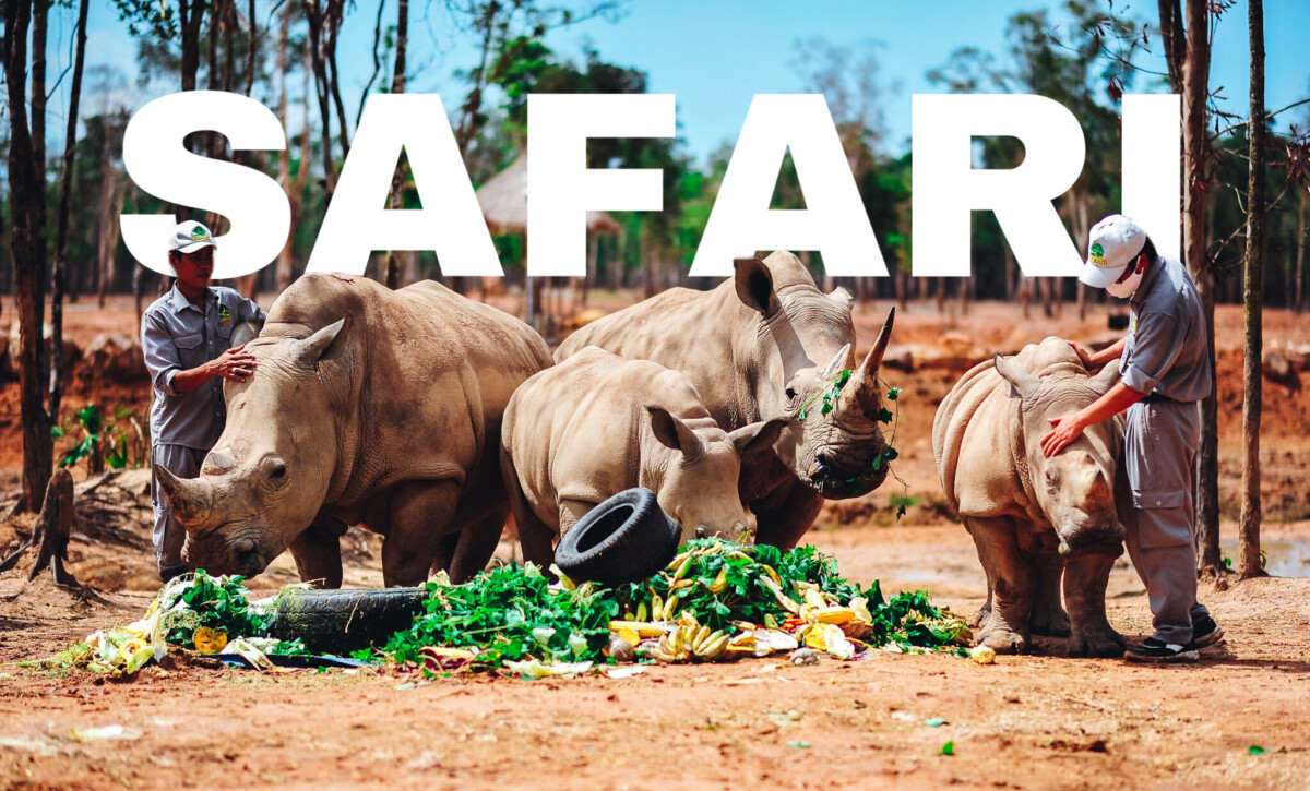 Vườn thú hoang dã Safari